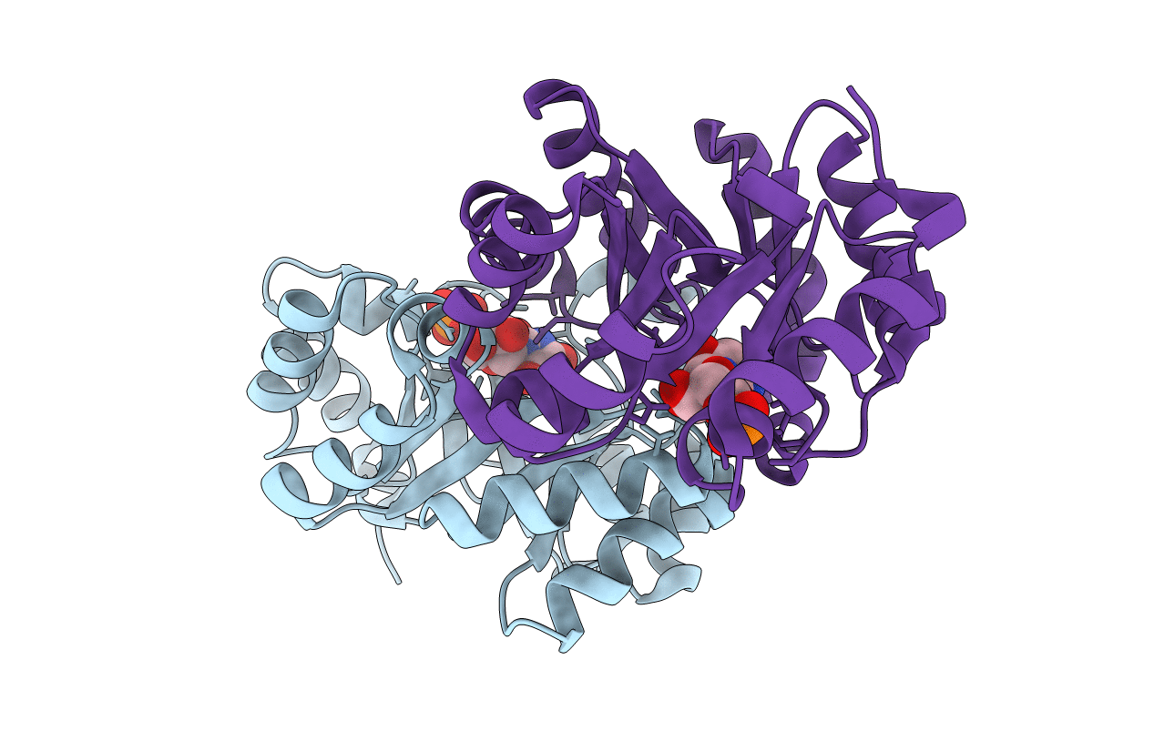 4FXR image