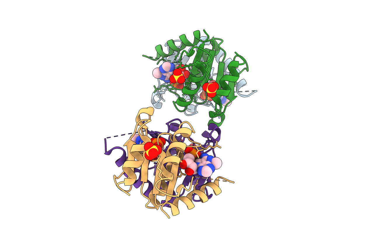 4FYH image
