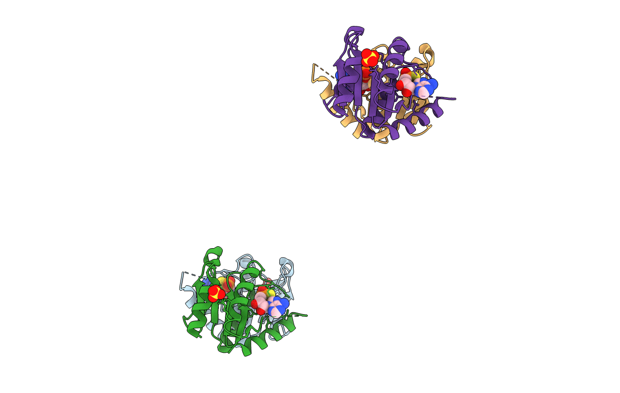 4FYK image