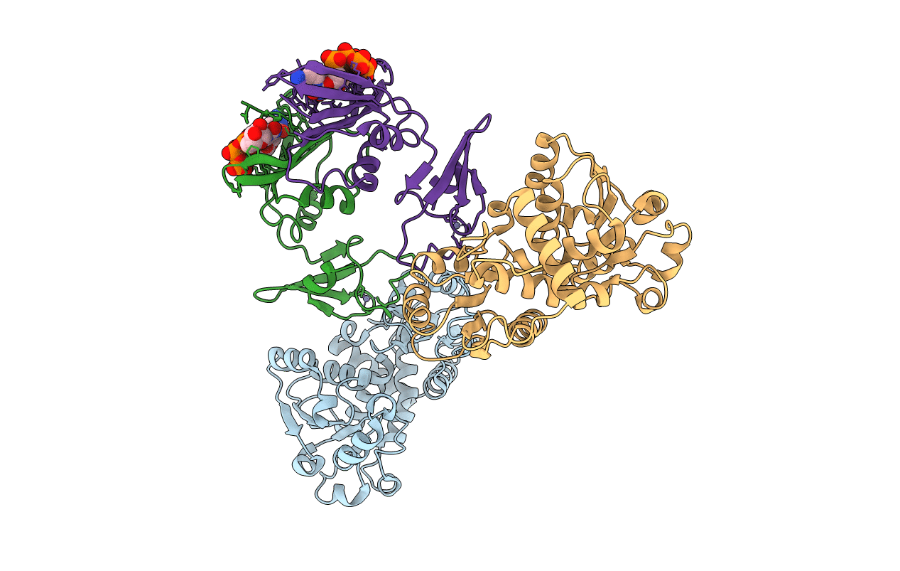 4FYX image