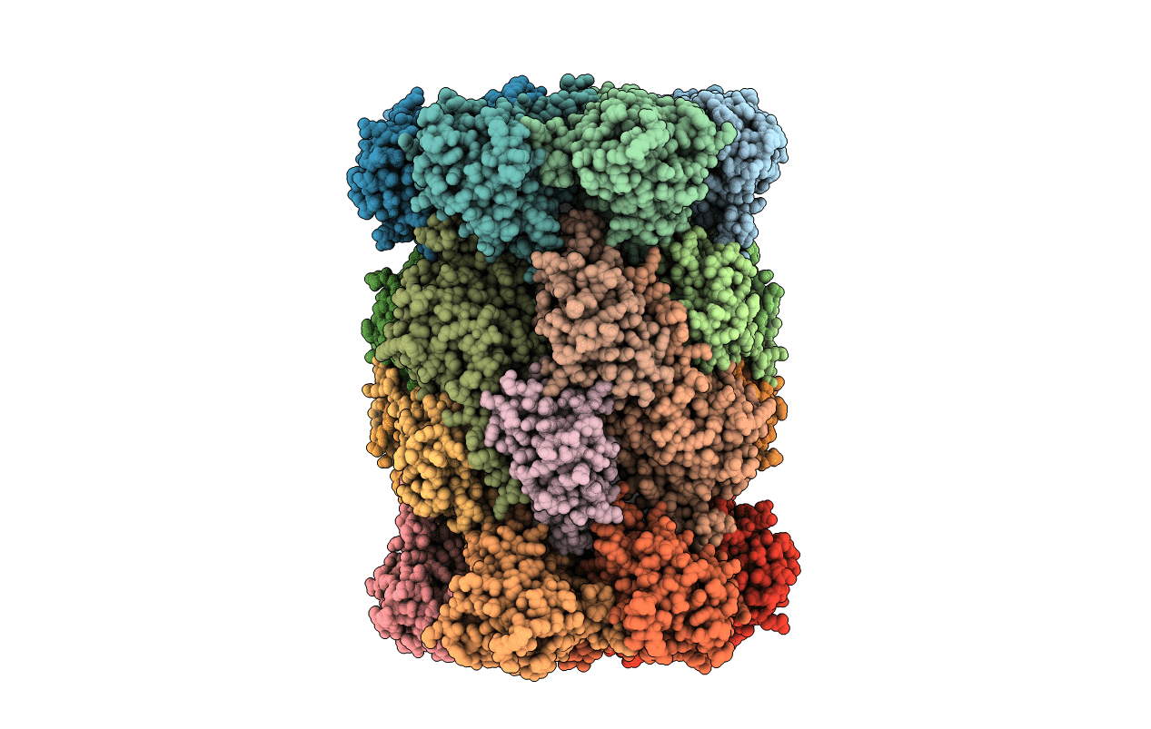 4FZG image