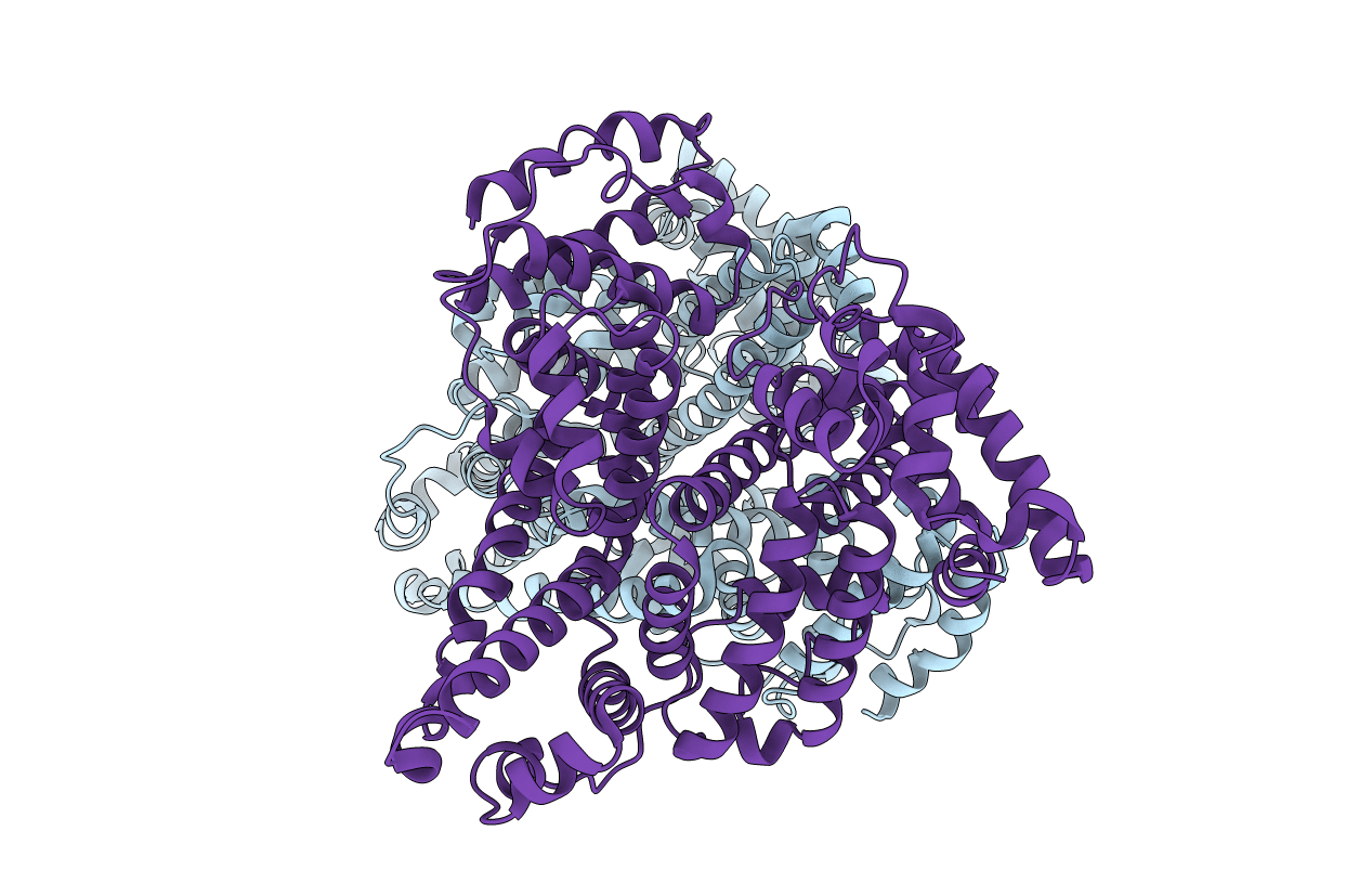 4G04 image
