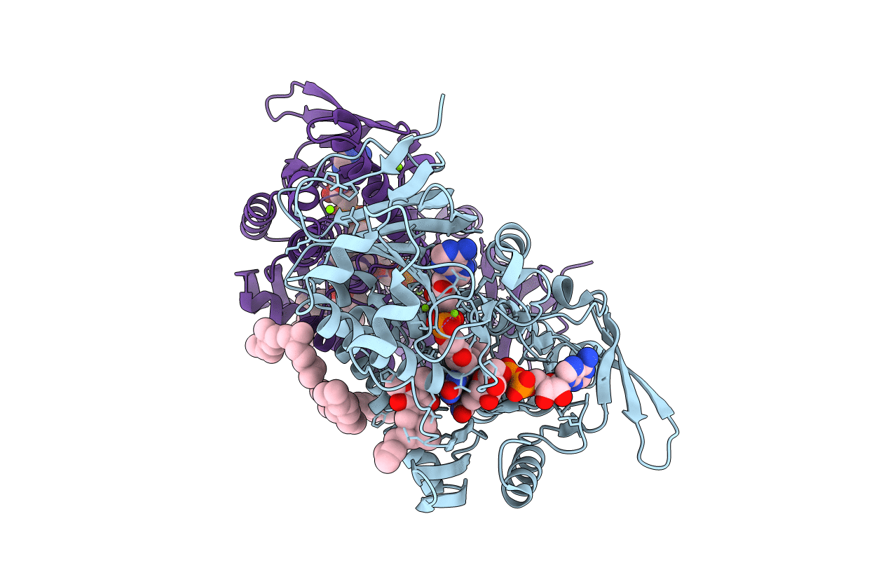 4G73 image