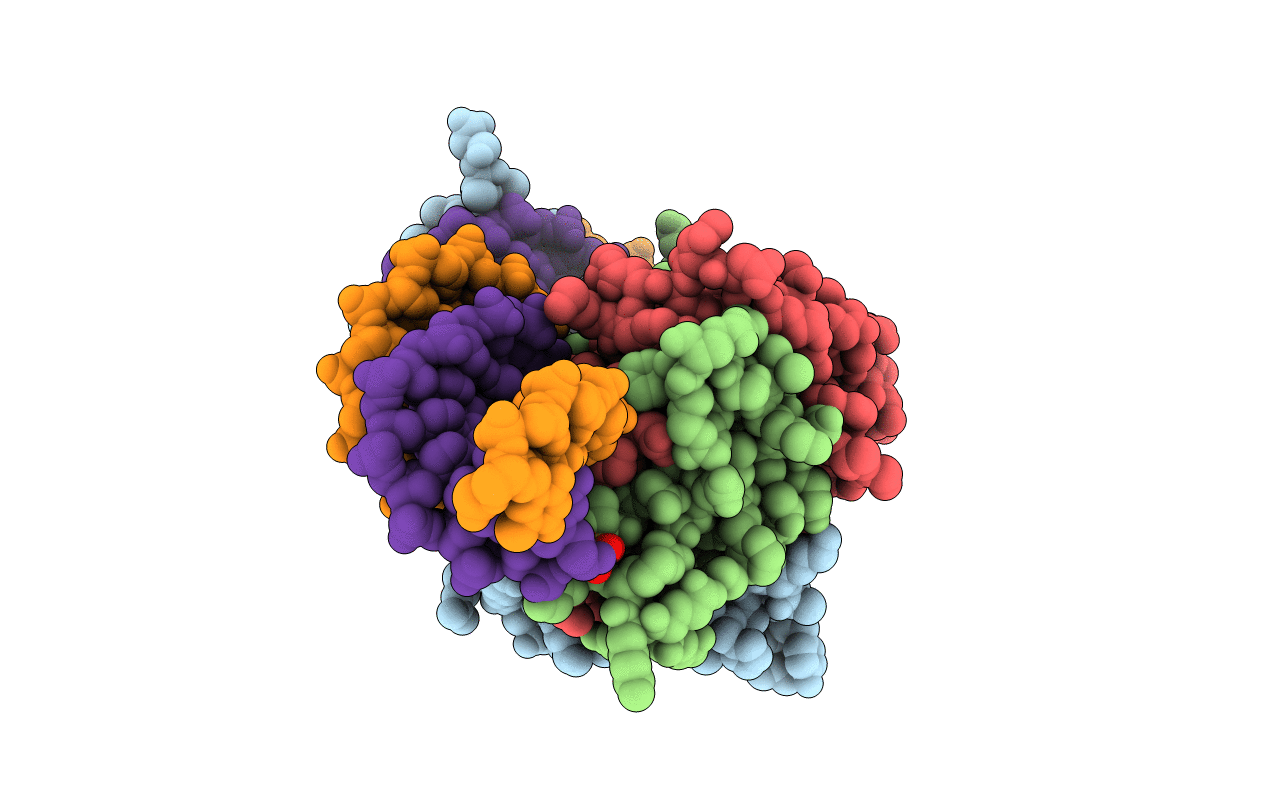4G92 image