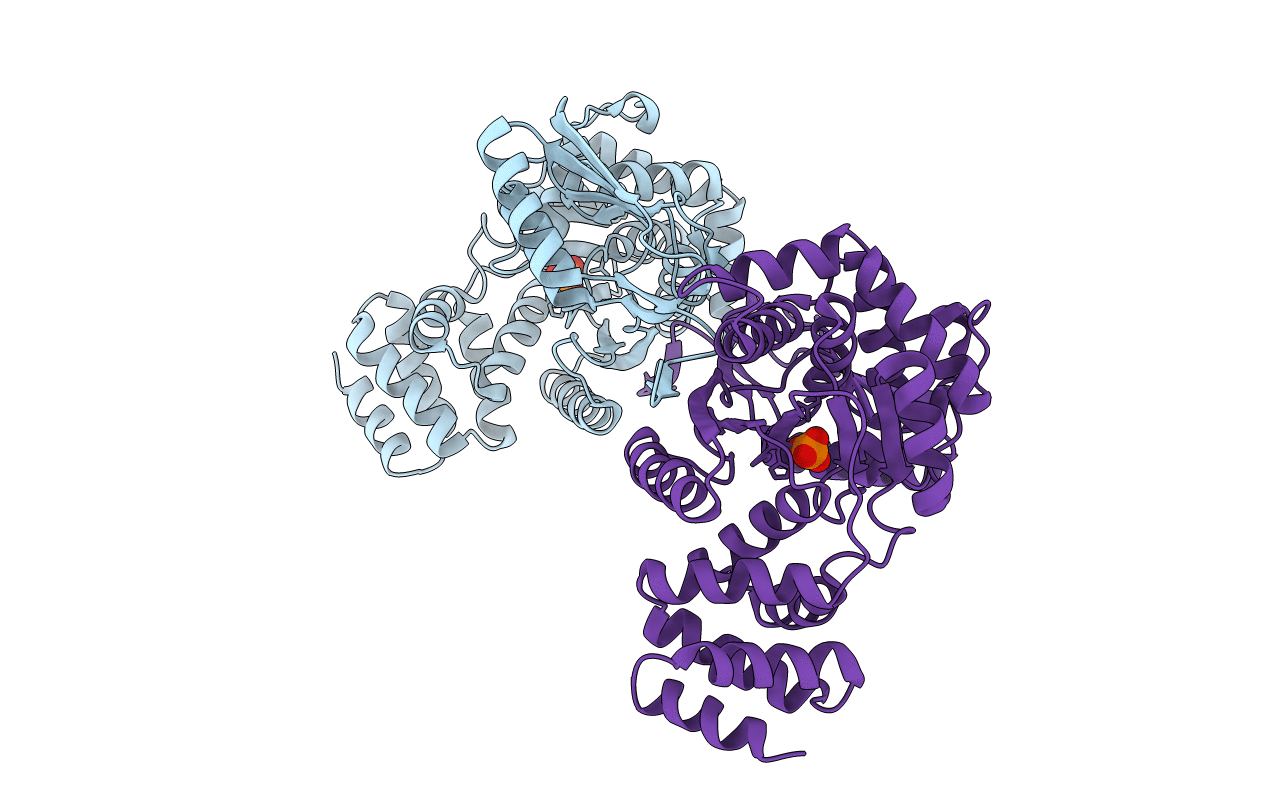4GA4 image