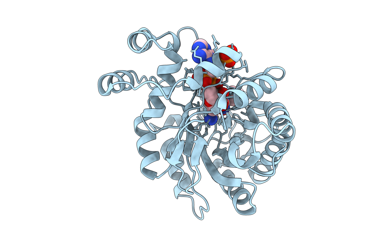 4GA8 image