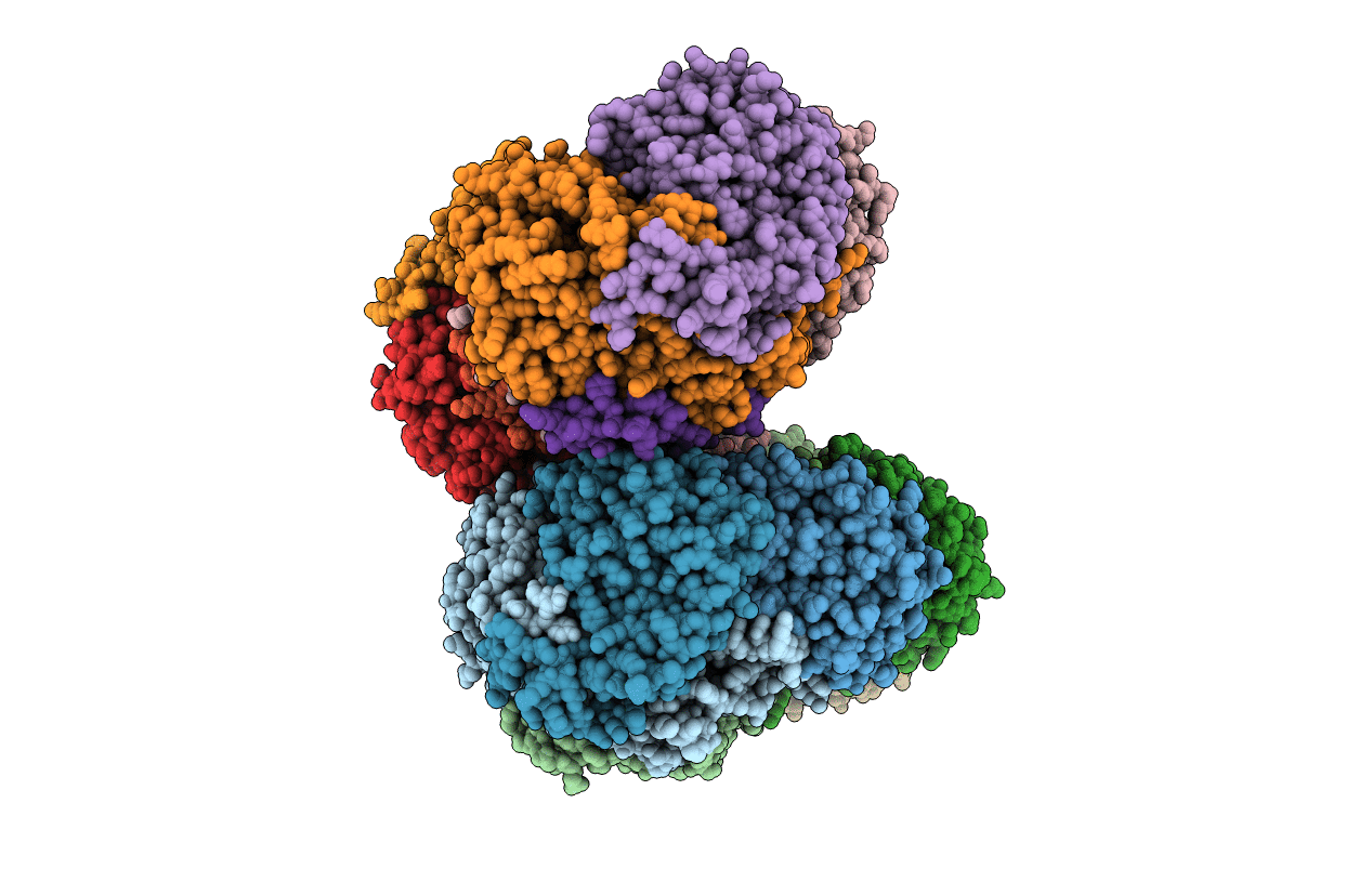 4GAM image