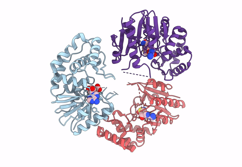 4GBE image