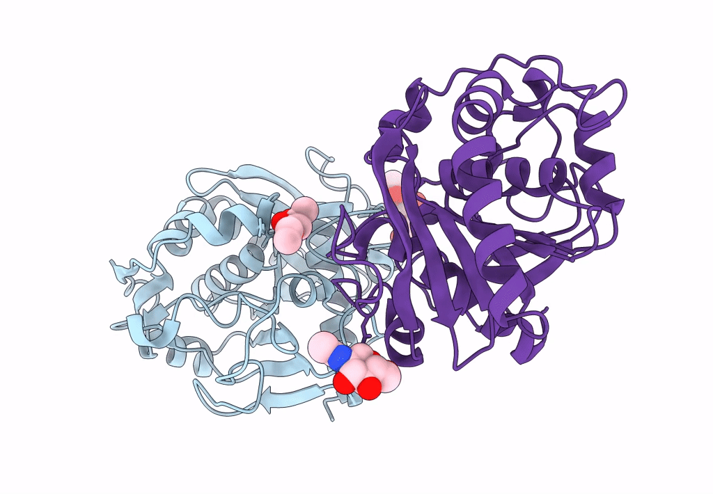 4GBG image