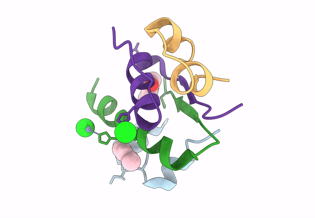 4GBI image