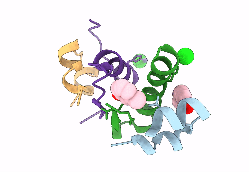 4GBK image
