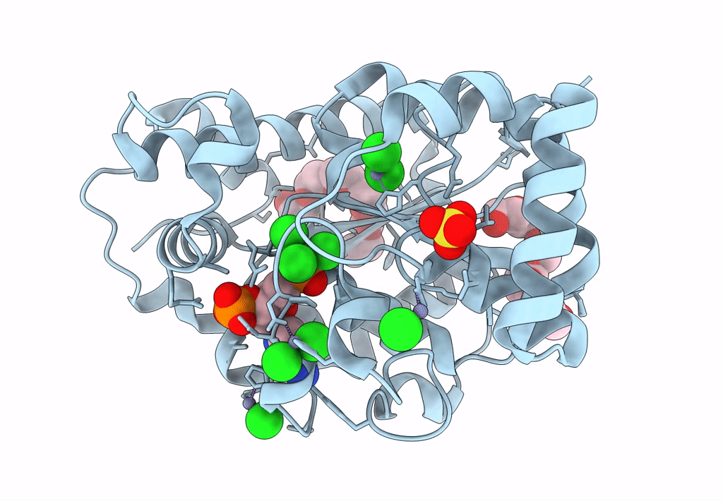 4GBM image