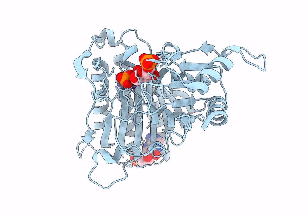 4GBV image