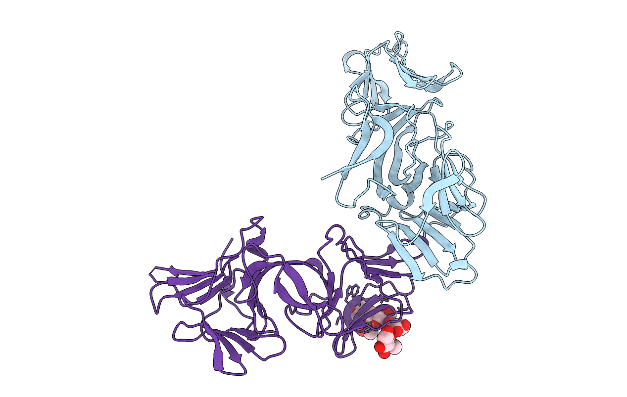 4GC2 image