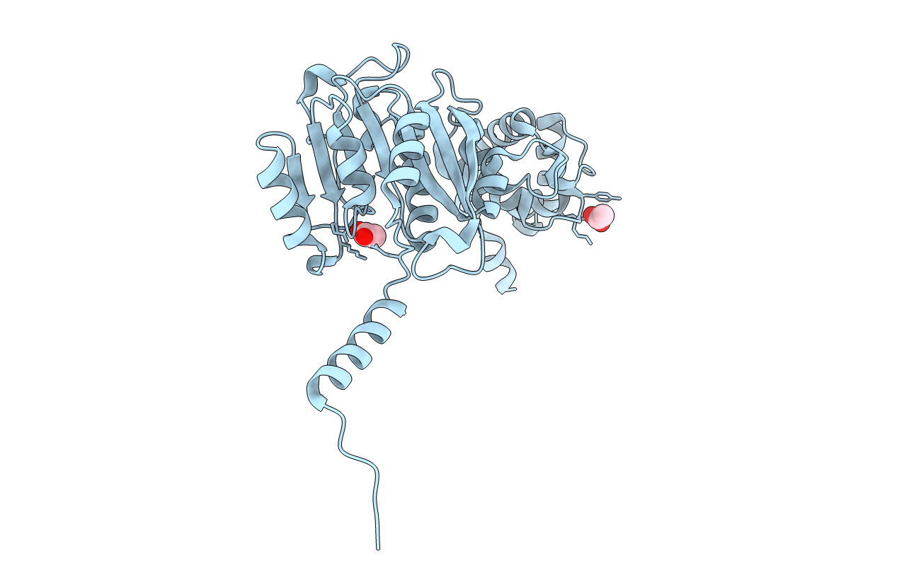 4GC5 image