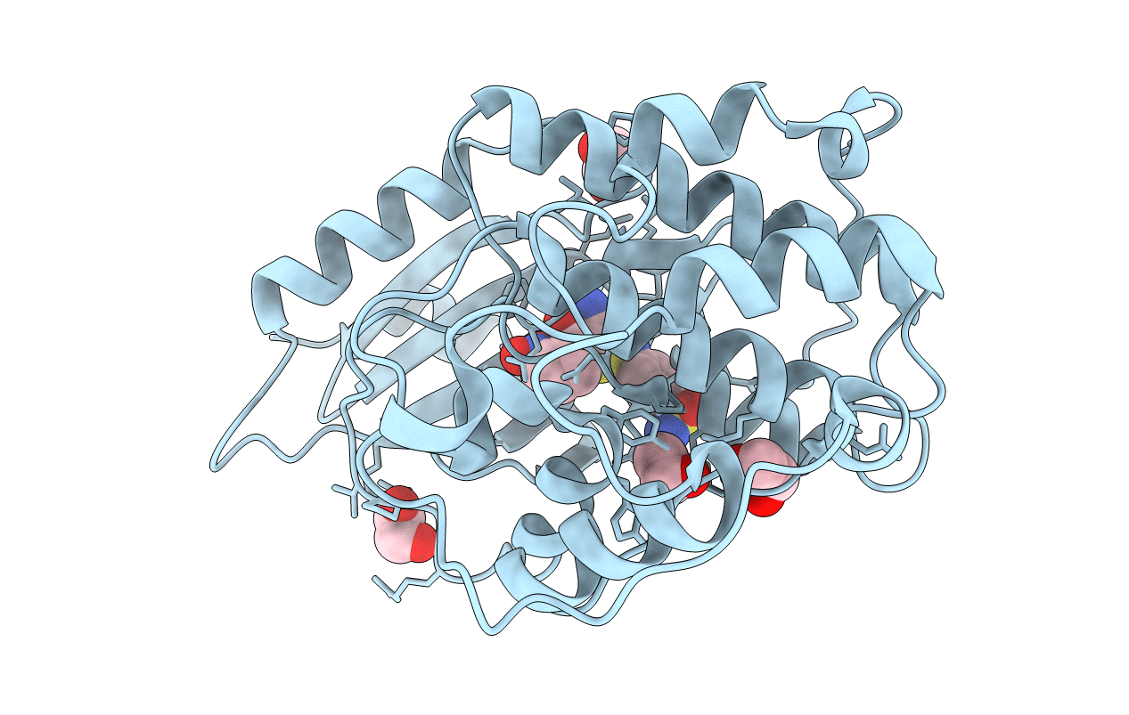 4GCJ image