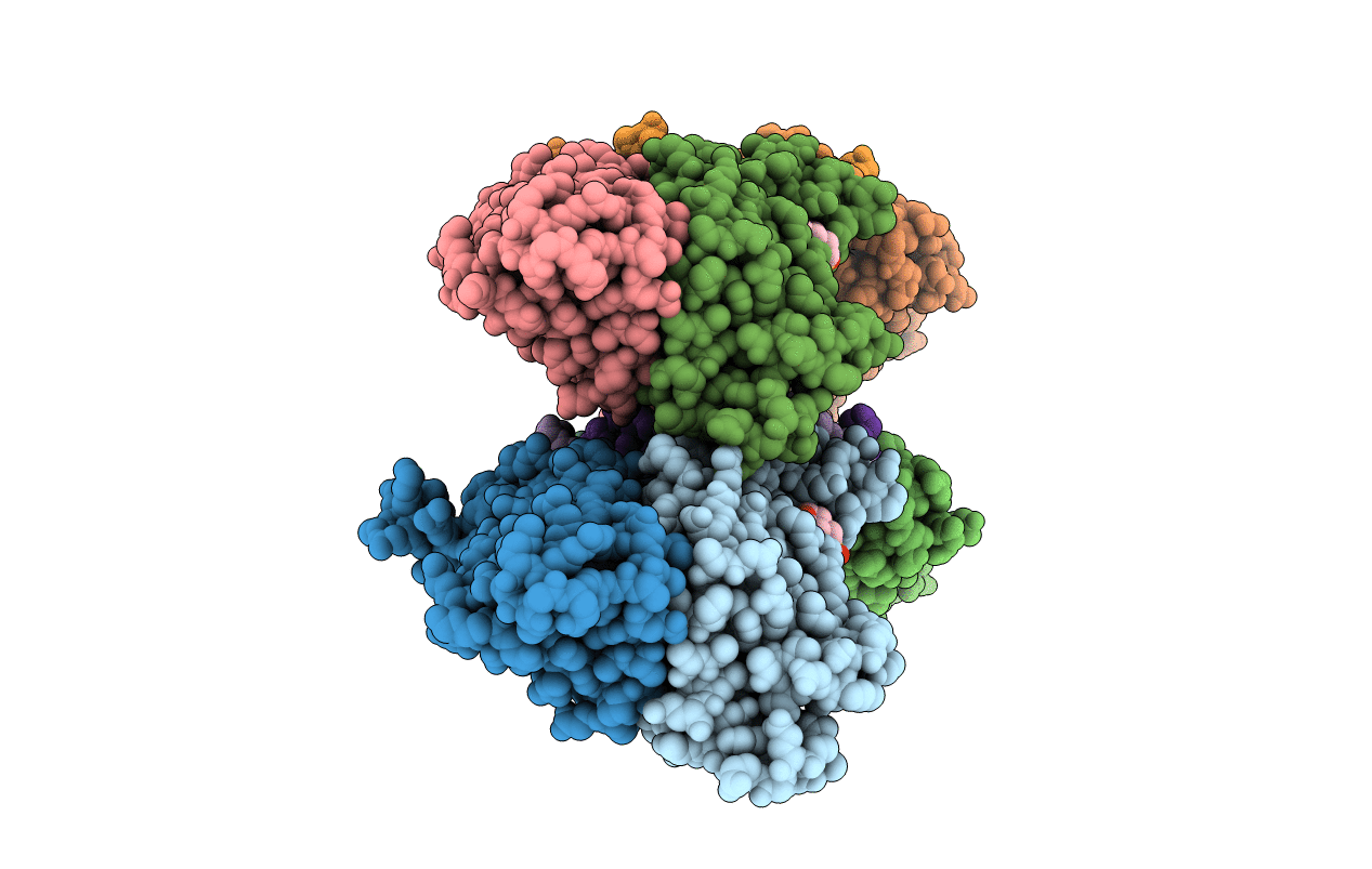4GCL image