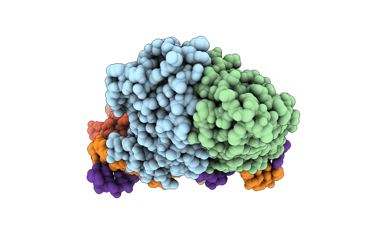 4GCT image