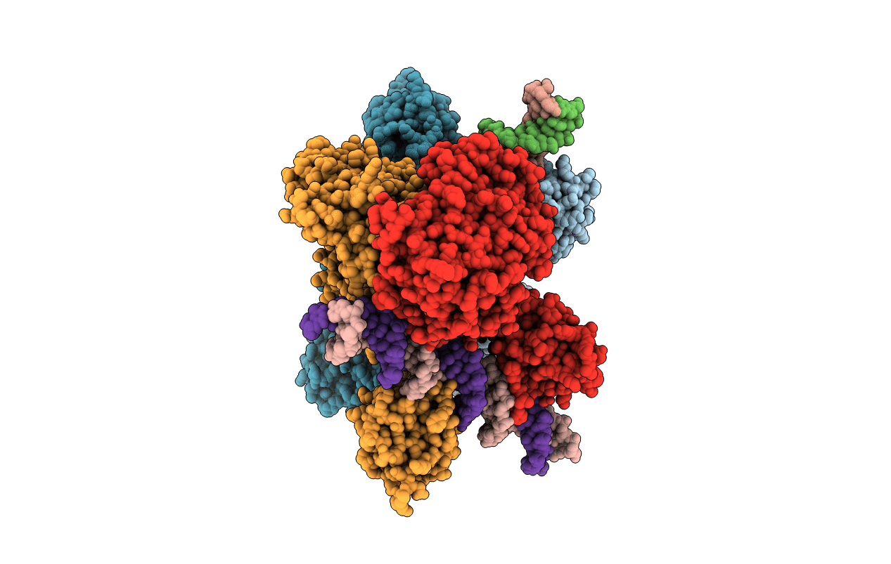 4GDF image