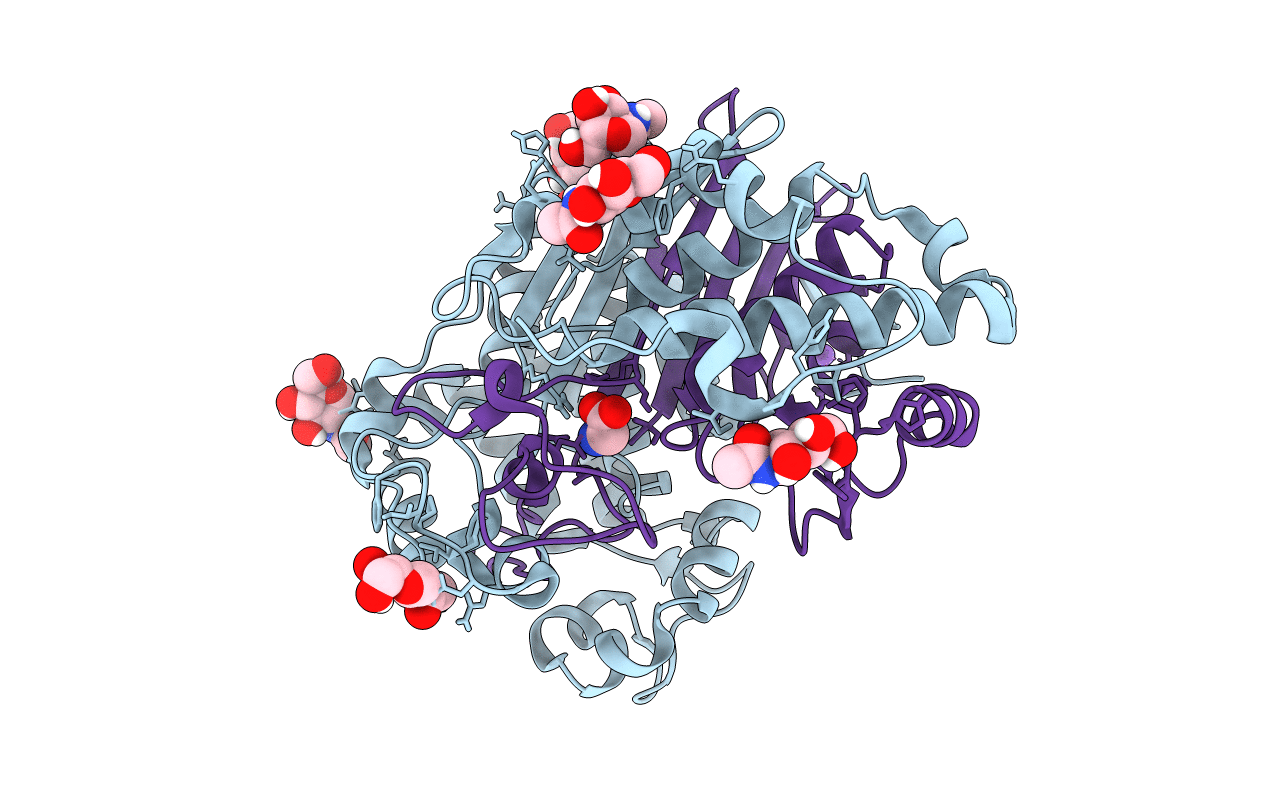 4GDX image