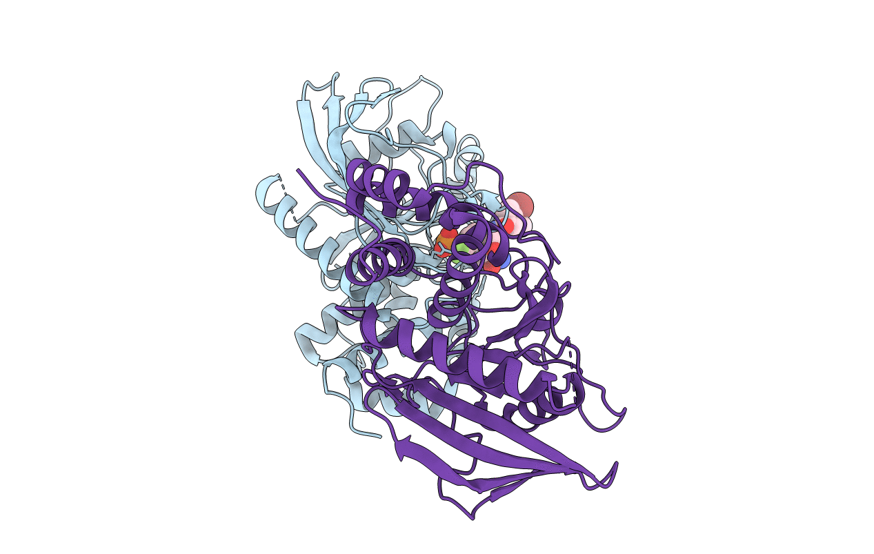 4GE5 image