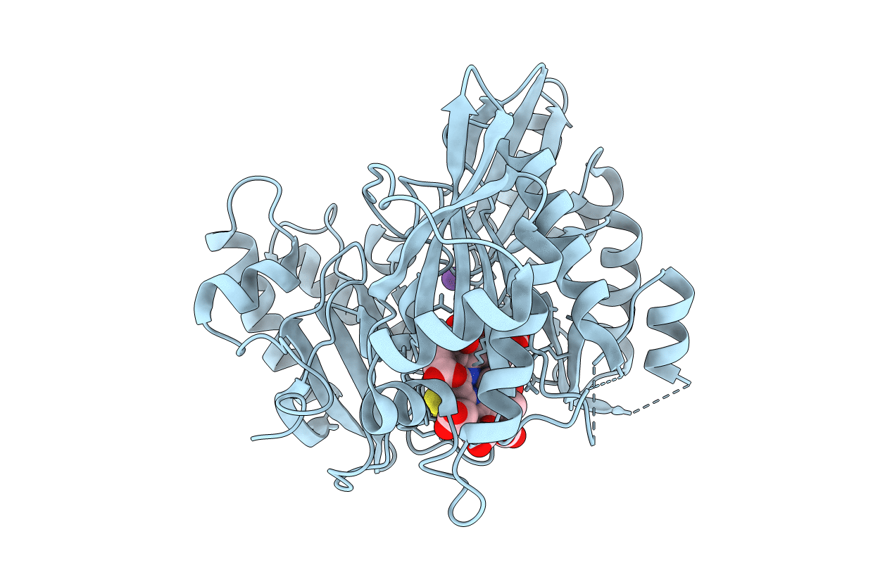 4GEP image