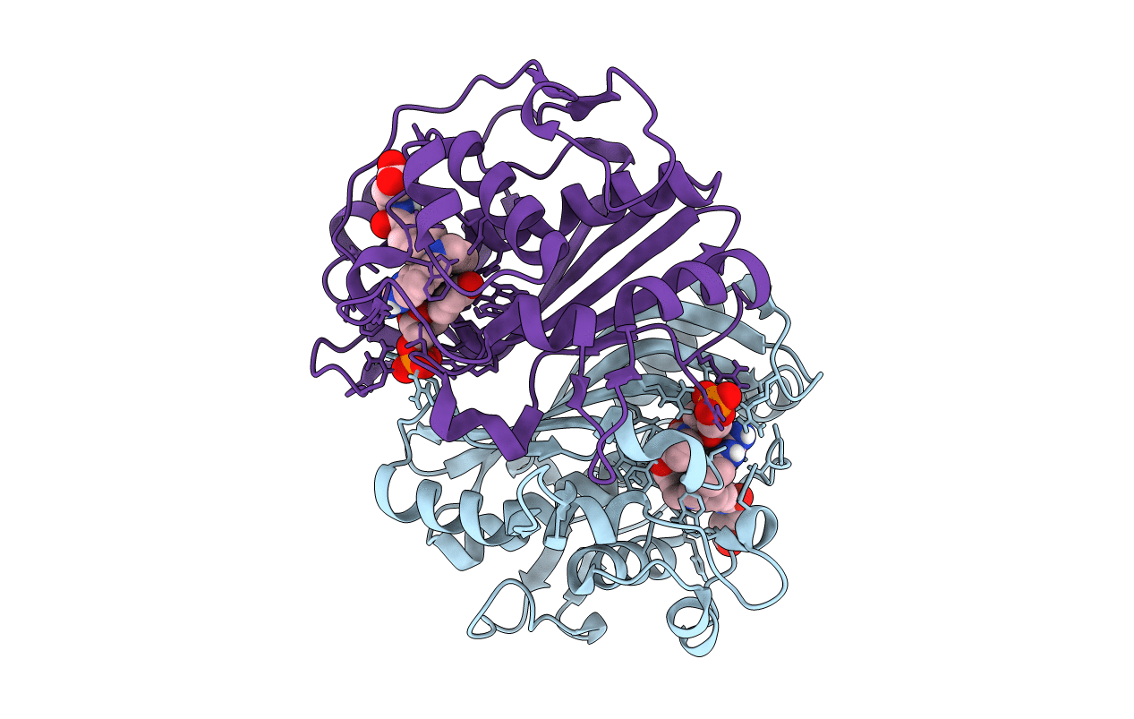 4GEV image