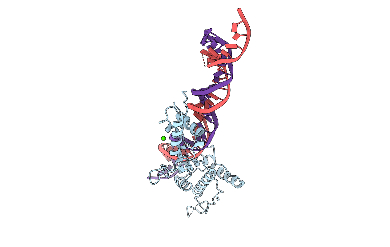 4GFB image