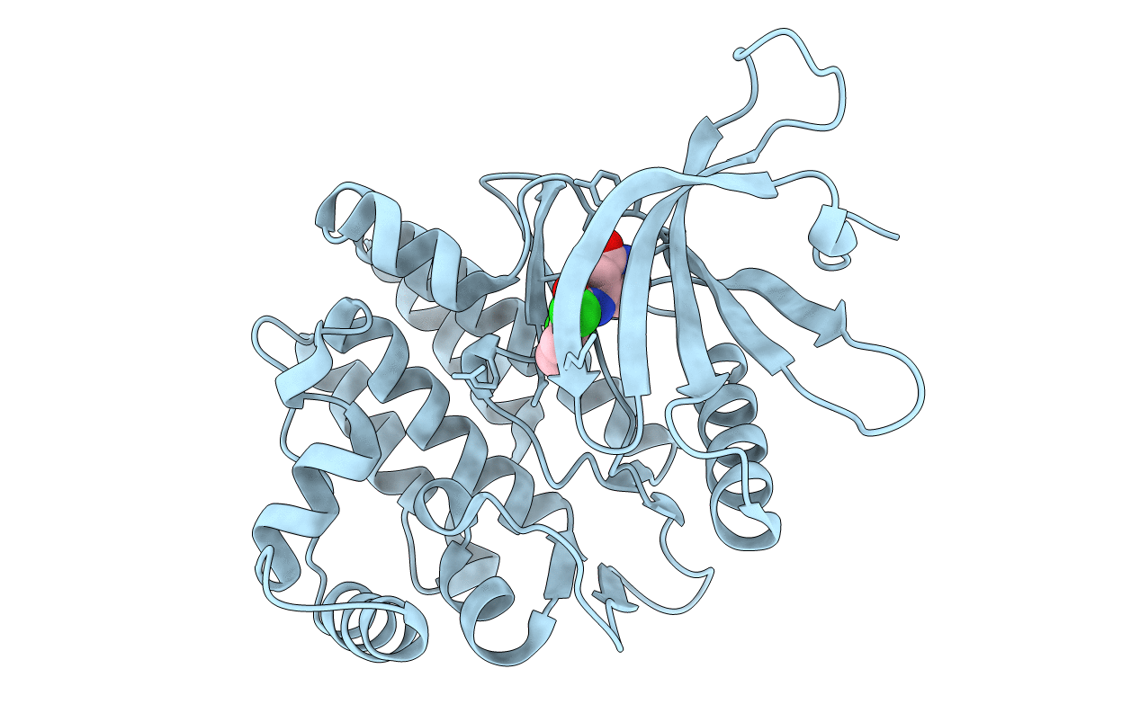 4GFM image