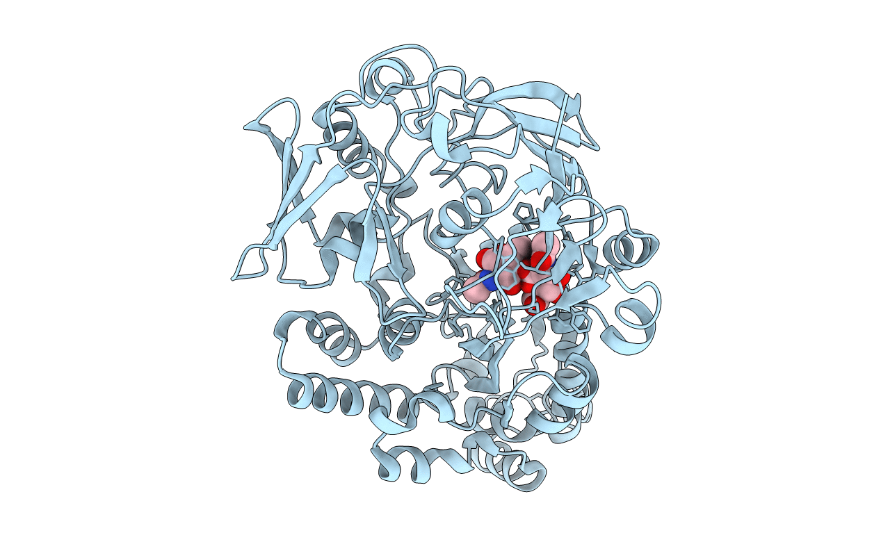 4GFR image