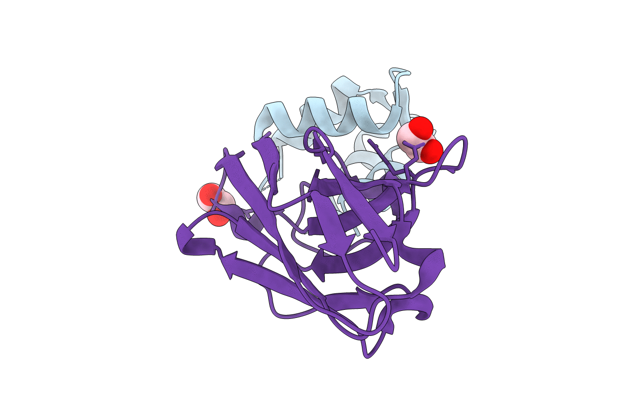4GFT image