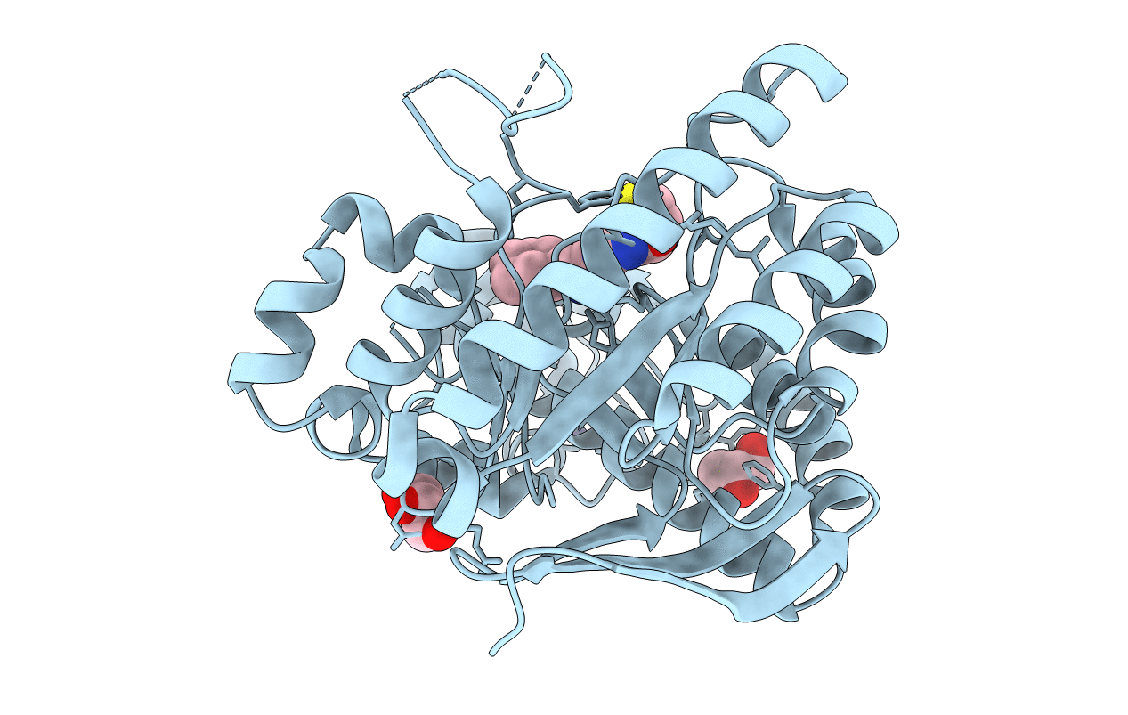 4GG9 image