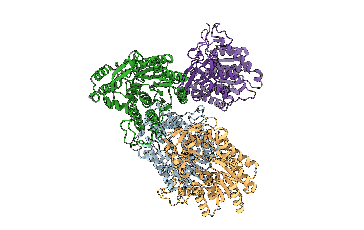 4GGP image