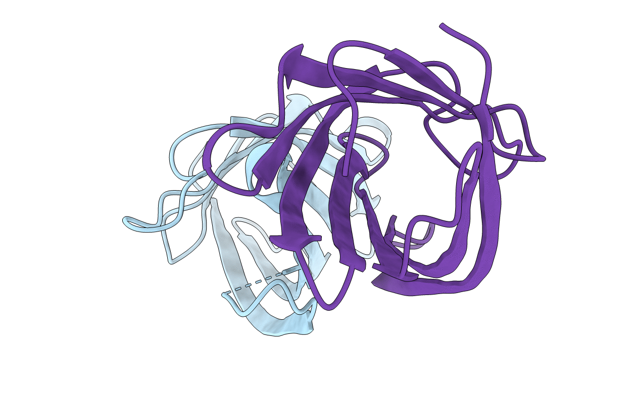 4GGT image