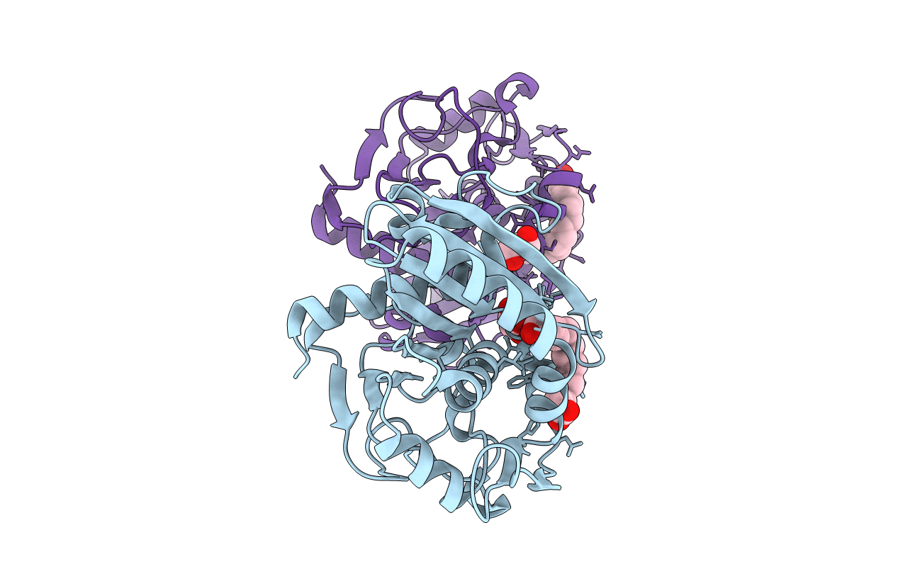 4GI1 image