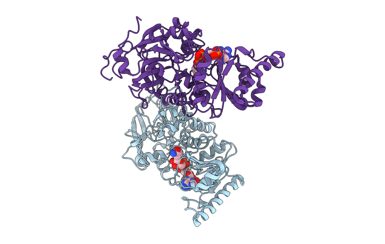 4GI2 image