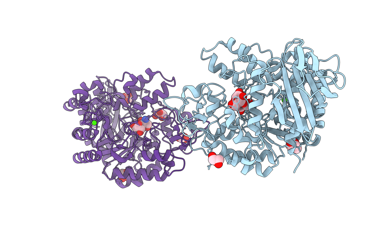 4GI6 image