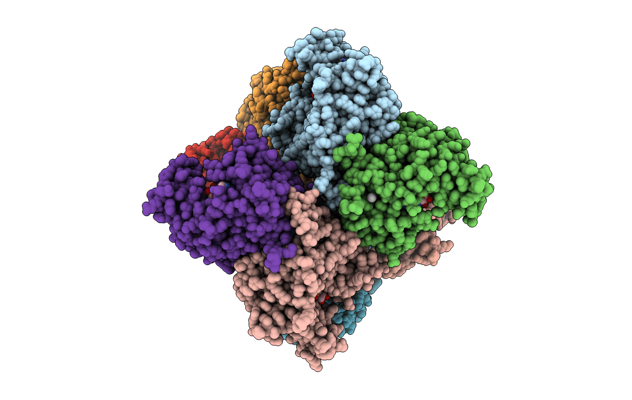 4GI7 image