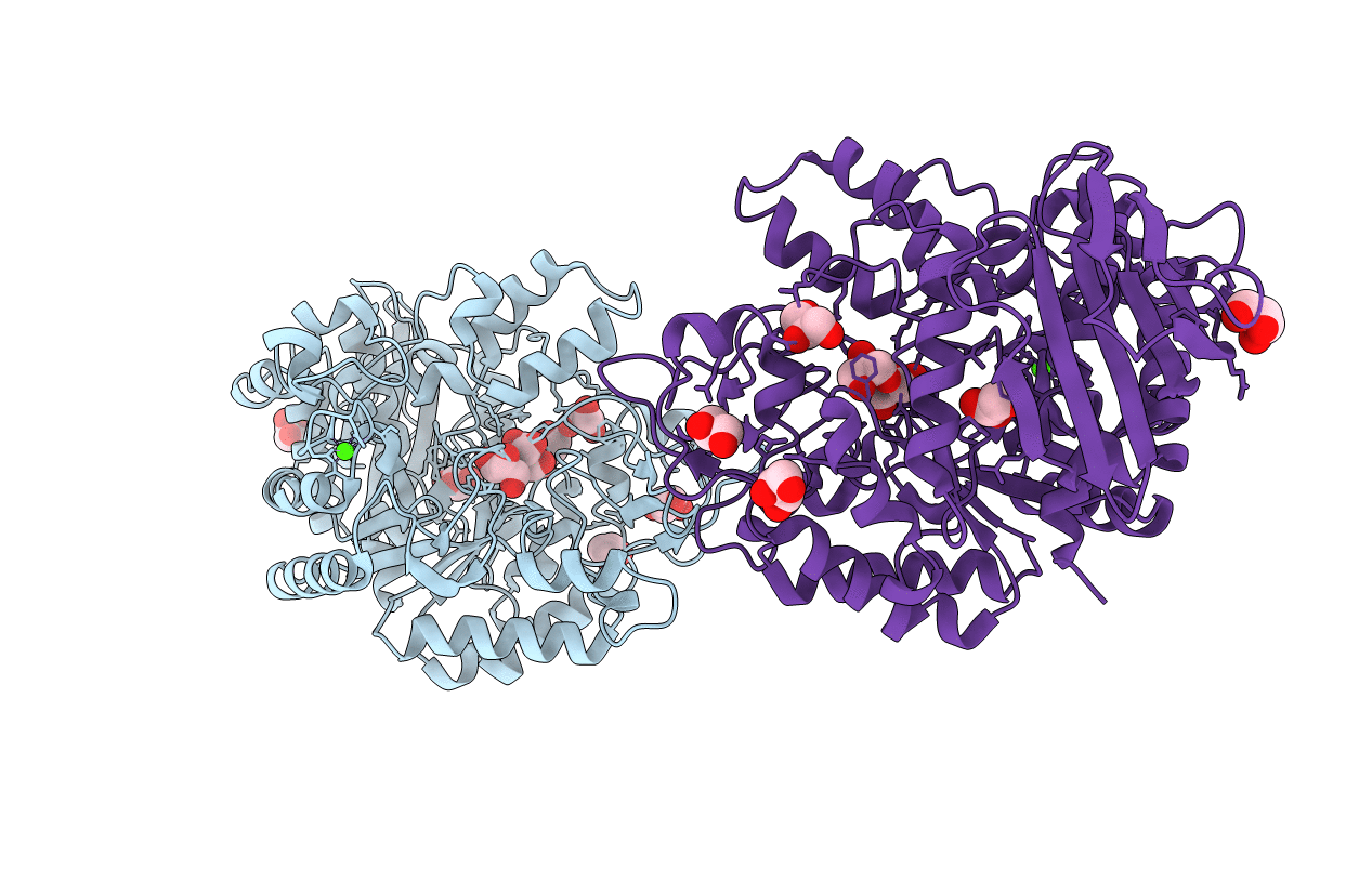 4GI8 image