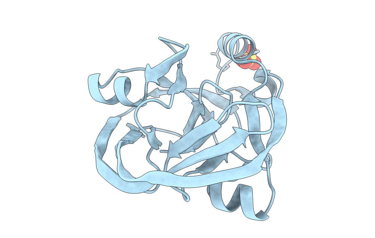 4GIG image