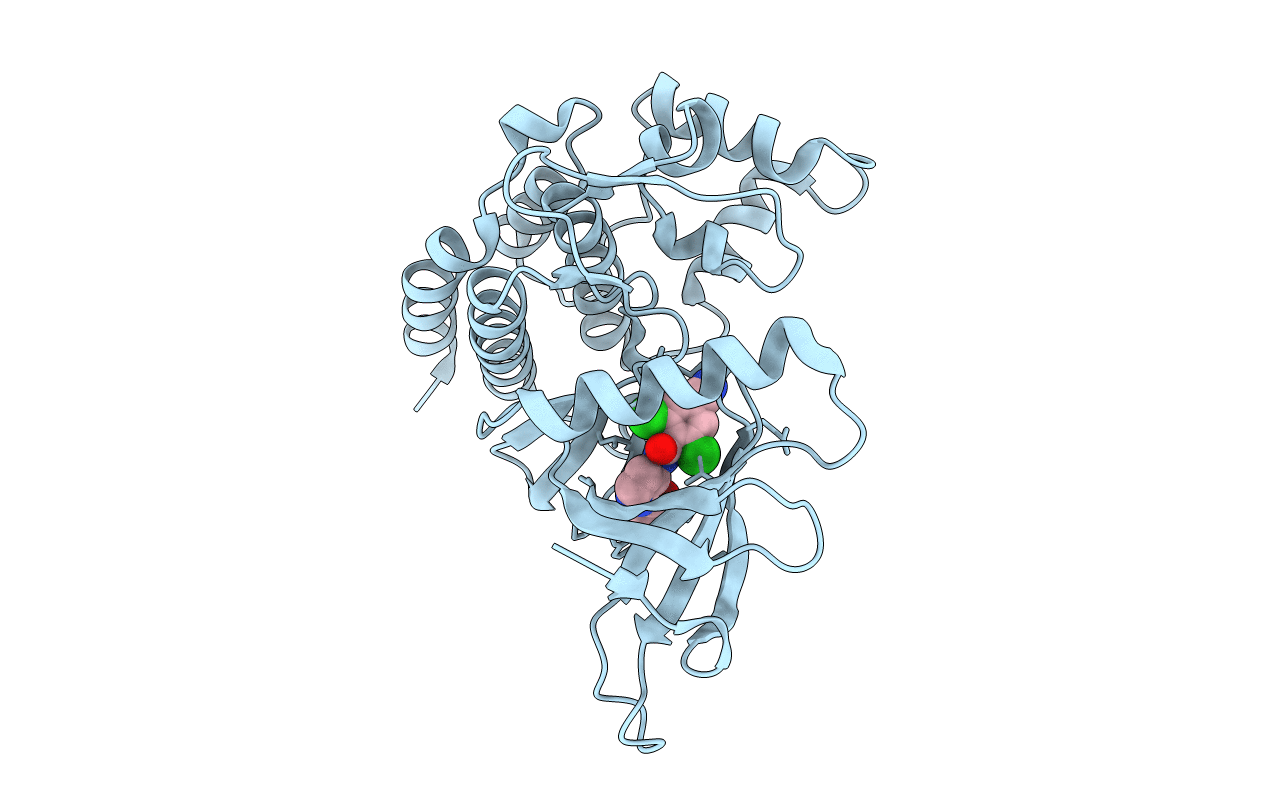 4GII image