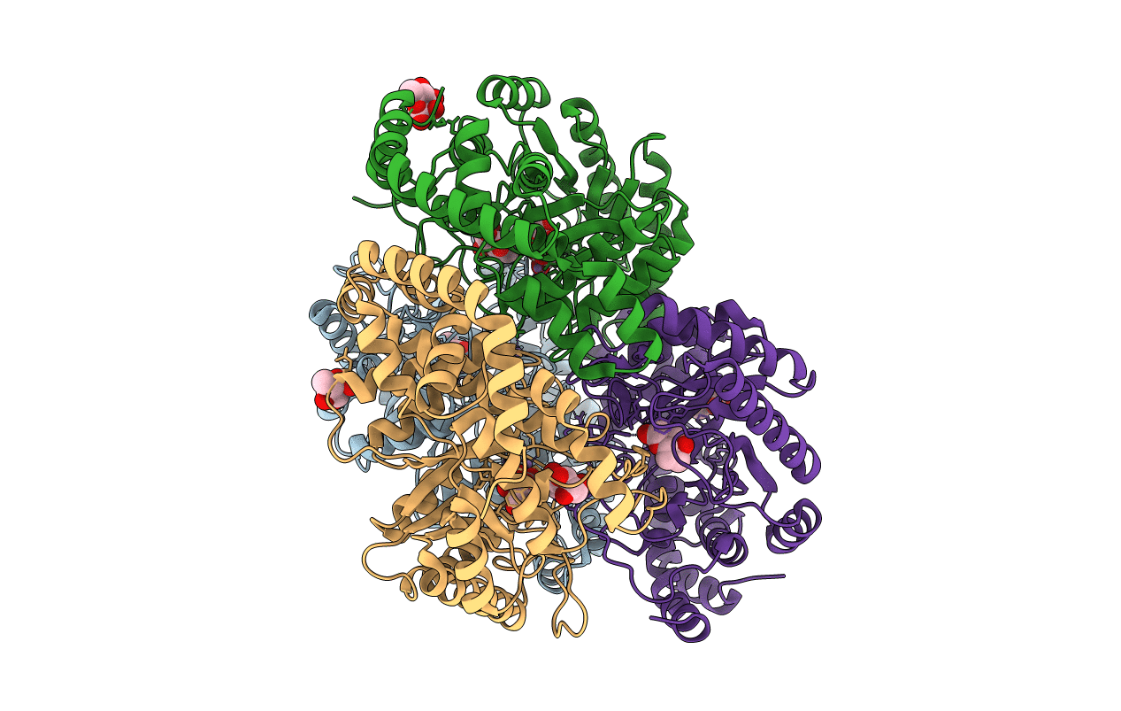 4GJI image