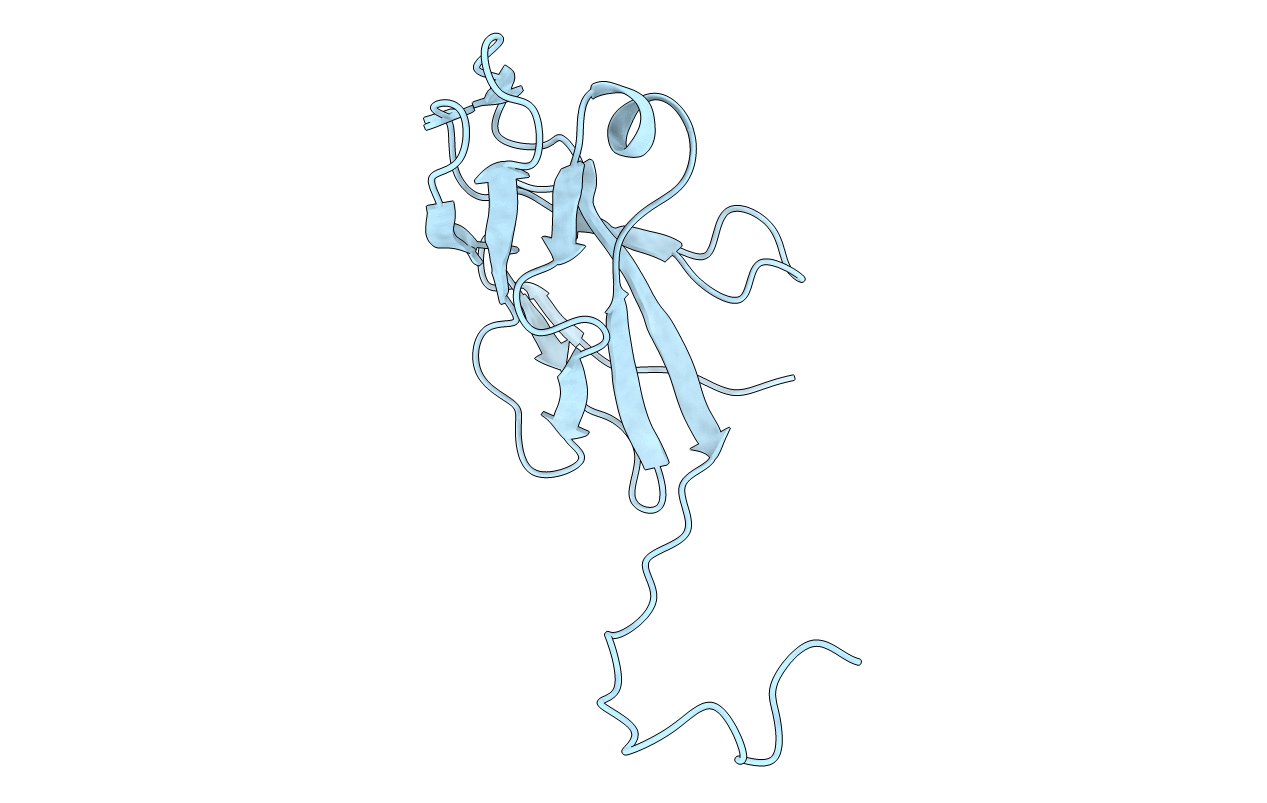 4GK6 image