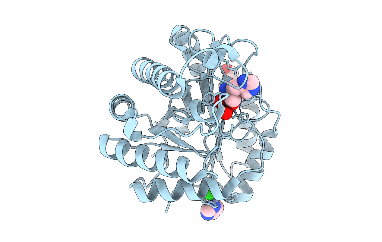 4GK8 image