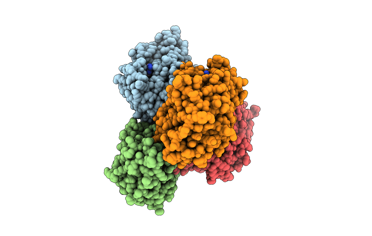 4GKV image