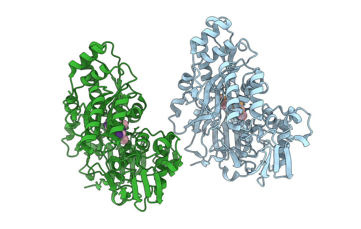 4GL8 image
