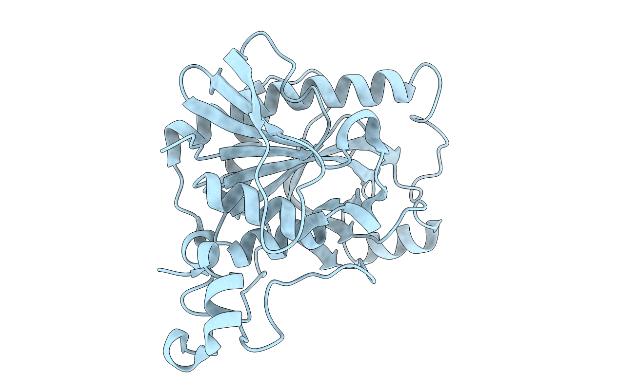 4GLF image