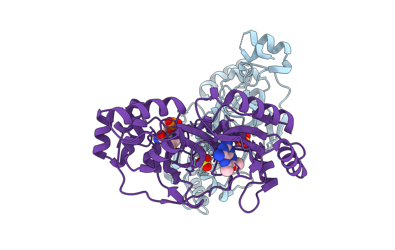 4GLW image