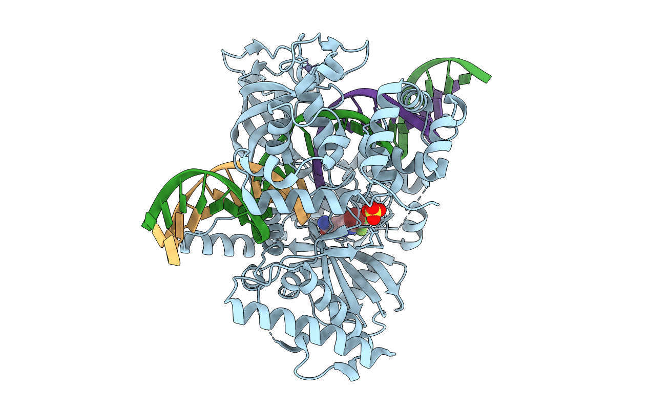 4GLX image