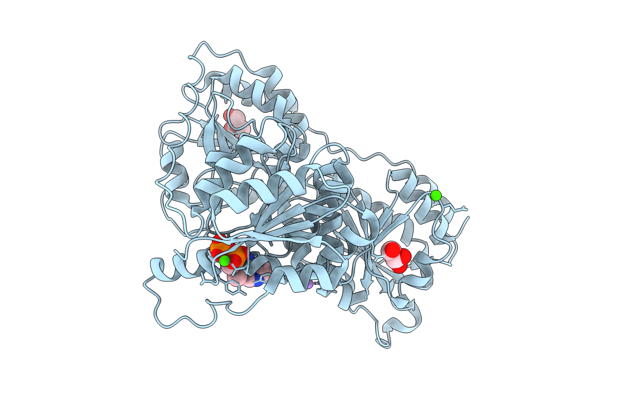 4GM1 image